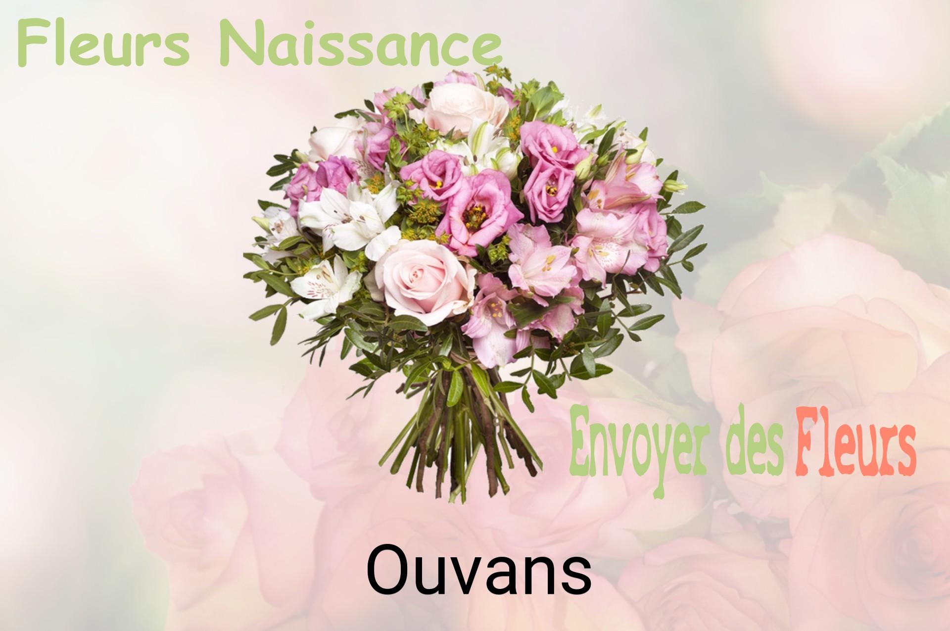 Bouquet de fleurs de naissance livré à Ouvans